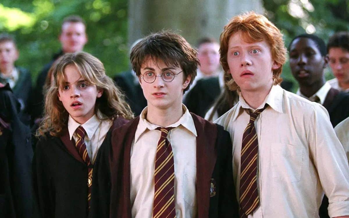 Harry Potter Max