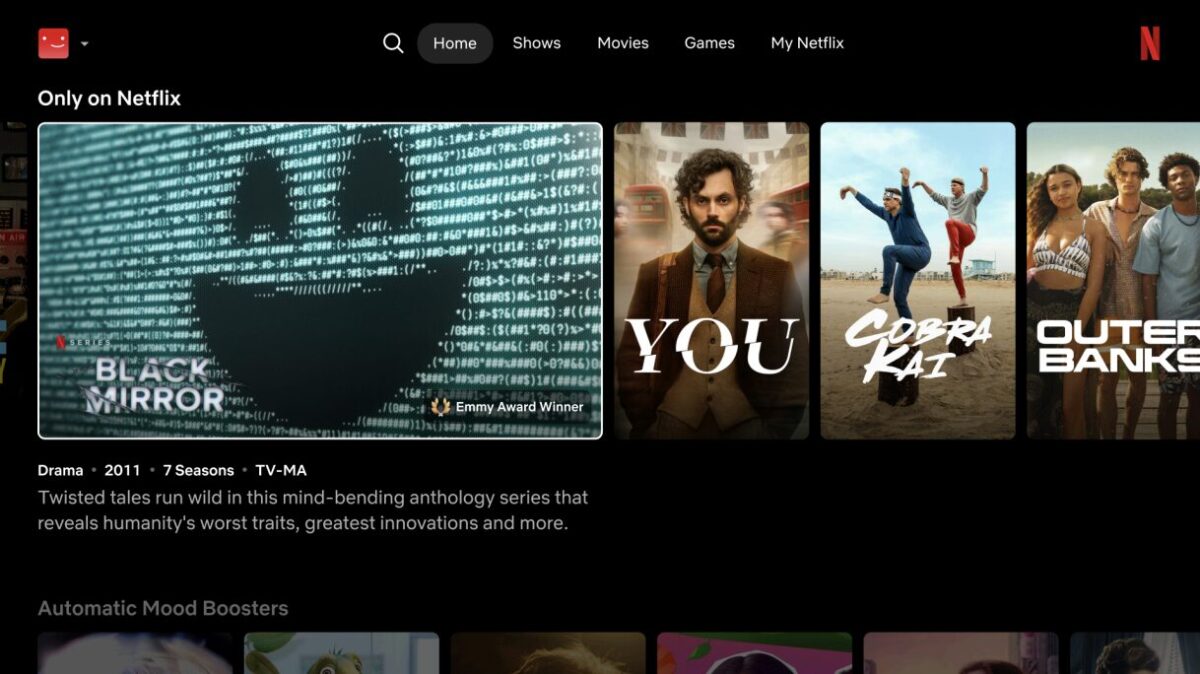 Netflix Interface