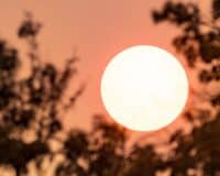 Alerte canicule : 8 départements frappés par de fortes chaleurs, la situation est critique