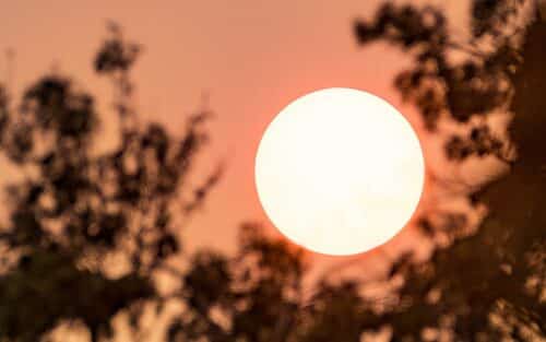 Alerte canicule : 8 départements frappés par de fortes chaleurs, la situation est critique