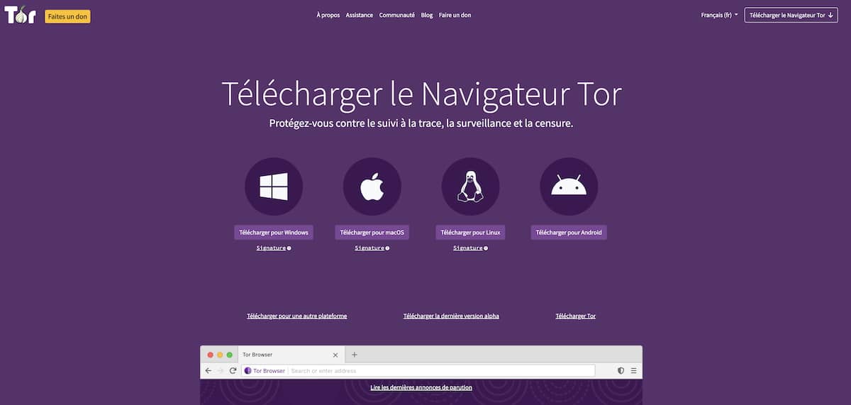 Tor dark web