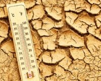 Canicule : jusqu’à quand la vague de chaleur touchera la France ?