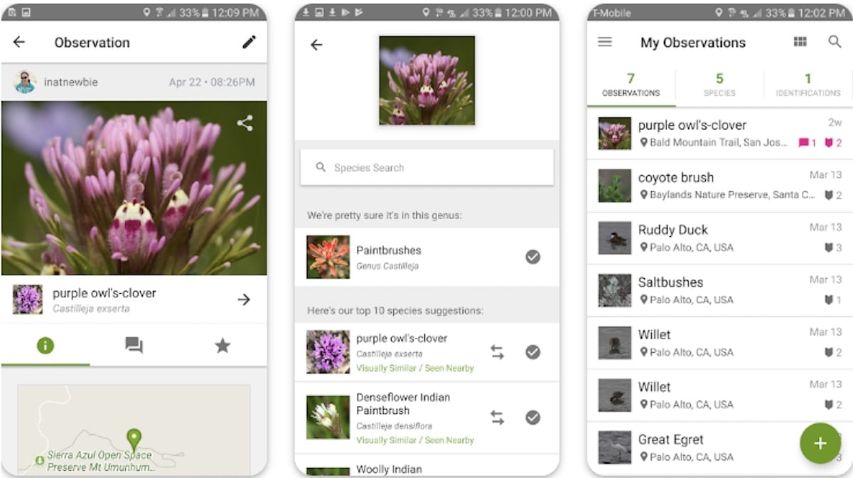 iNaturalist