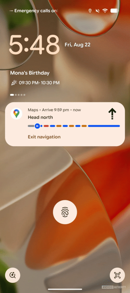 Google Maps Live Updates