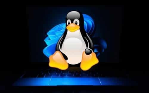 Windows passe sous les 60 % pour la première fois, Linux rattrape Microsoft à une vitesse fulgurante