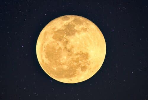Pleine Lune Castor 2025