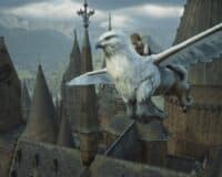 Hogwarts Legacy 2 : vos amis pourront parcourir Poudlard avec vous, le multijoueur se confirme