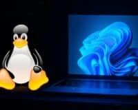 Steam n&rsquo;a jamais eu autant de joueurs sur Linux, Windows 11 peut commencer à trembler
