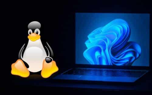 Steam n&rsquo;a jamais eu autant de joueurs sur Linux, Windows 11 peut commencer à trembler