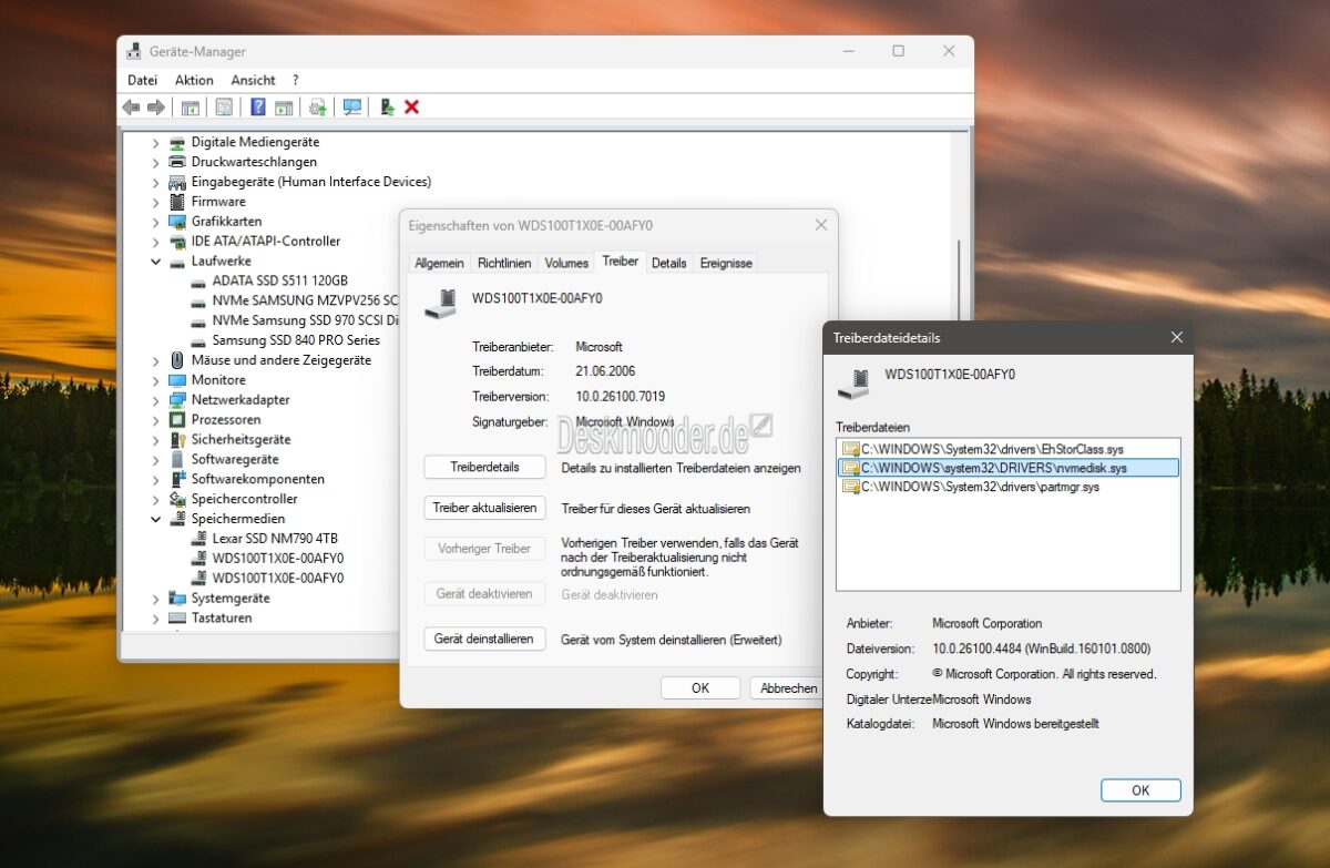 Windows 11