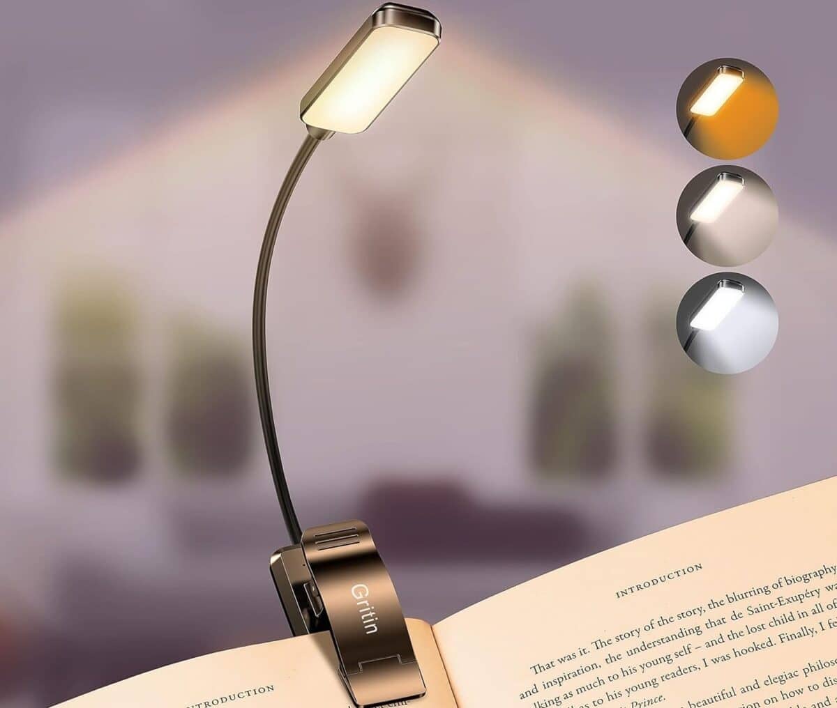 Lampe de Lecture rechargeable noel