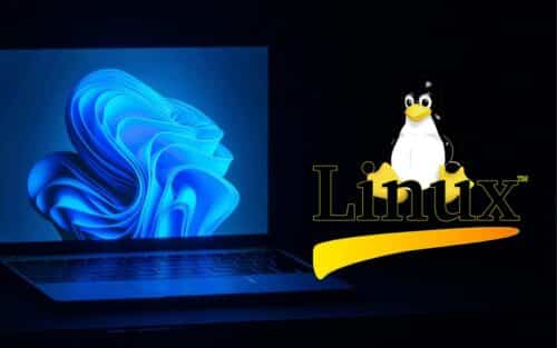 Windows 11 est déserté, deux millions d’utilisateurs se sont rués sur cette distribution Linux