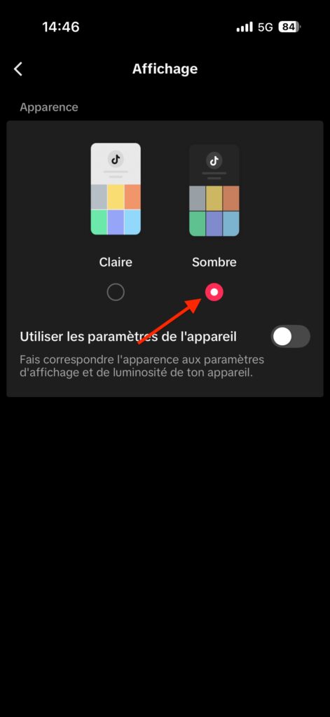 Thème sombre TikTok