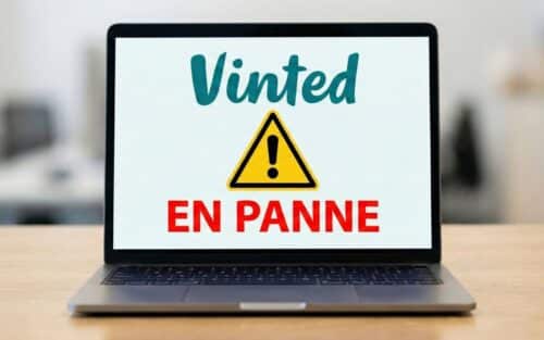 Panne Vinted : le site et l’application ne marchent plus, que se passe-t-il ?