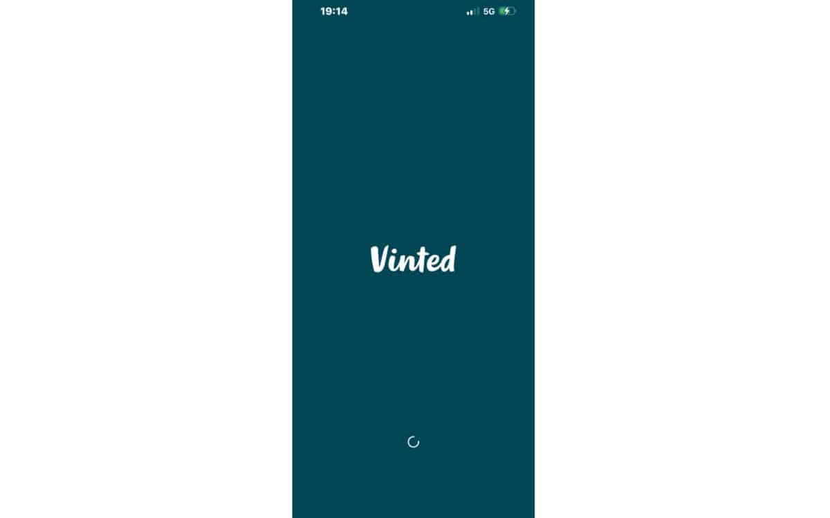 Vinted panne