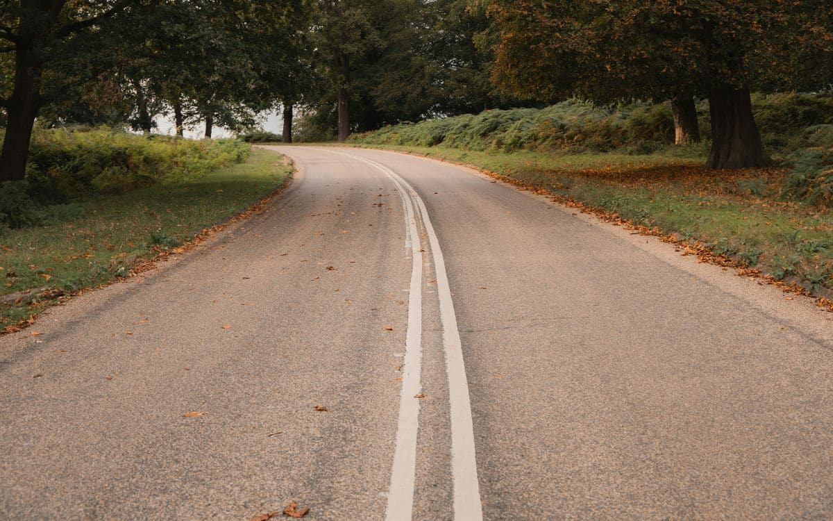 lignes blanches