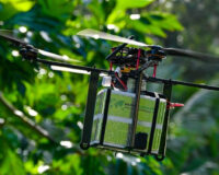 Pourquoi des drones vont larguer des milliers de moustiques-tigres sur nos têtes