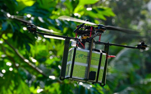 Pourquoi des drones vont larguer des milliers de moustiques-tigres sur nos têtes