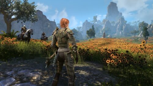 The Elder Scrolls 6 est déjà jouable, mais Bethesda ne vous le montrera pas avant des années