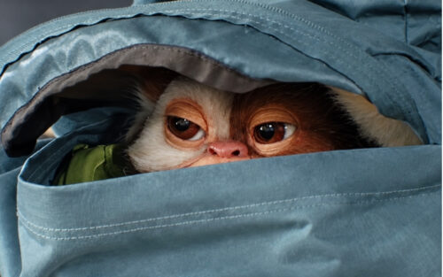 Gremlins 3 : Gizmo est de retour après 40 ans d’absence, un trailer et une date de sortie dévoilés